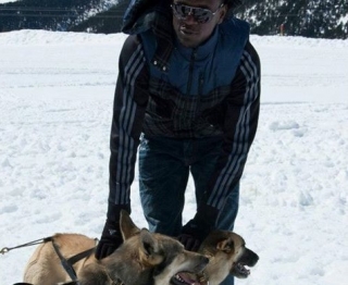  Musher mit Hunden 